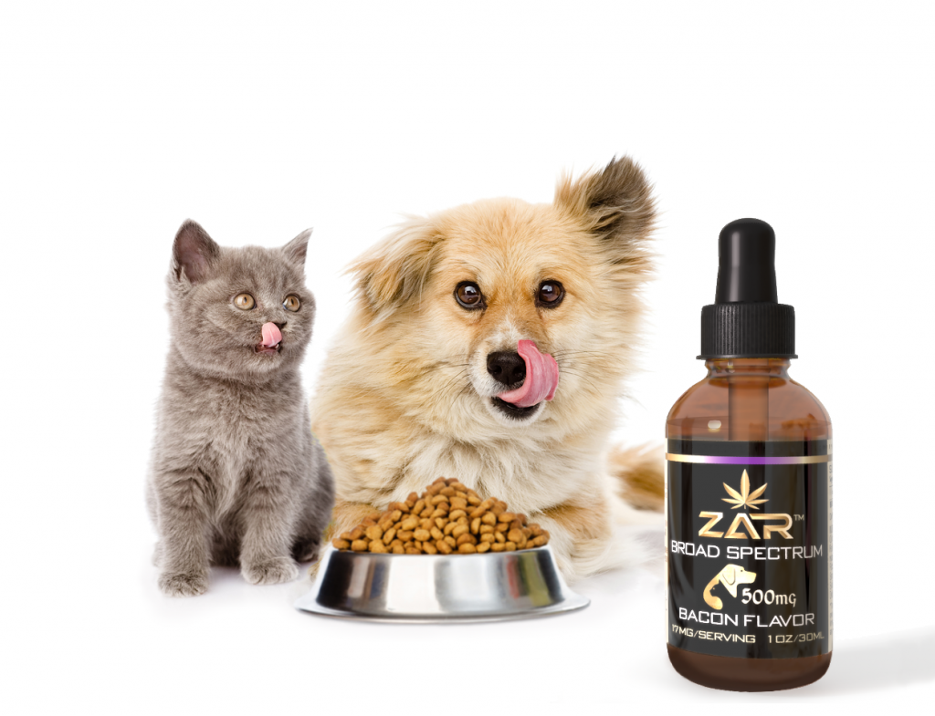 Cat and Dog licking their lips over food and Bacon flavored CBD drops